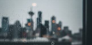 Hidden Gem Apps You Didn’t Know You Needed—Download Them Now! Phone screen with sparkling apps in a rainy Seattle coffee shop