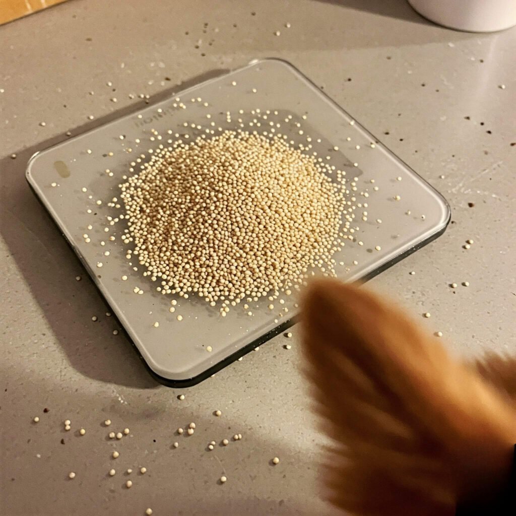 Quinoa mess on smart scale with cat tail.