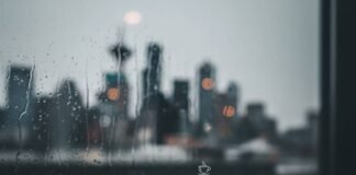 Hidden Gem Apps You Didn’t Know You Needed—Download Them Now! Phone screen with sparkling apps in a rainy Seattle coffee shop